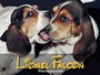 Lionel Falcon Photografer