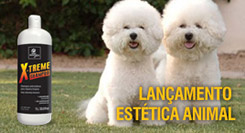 Lançamento Higiene e Embelezamento - X-Treme Shampoo